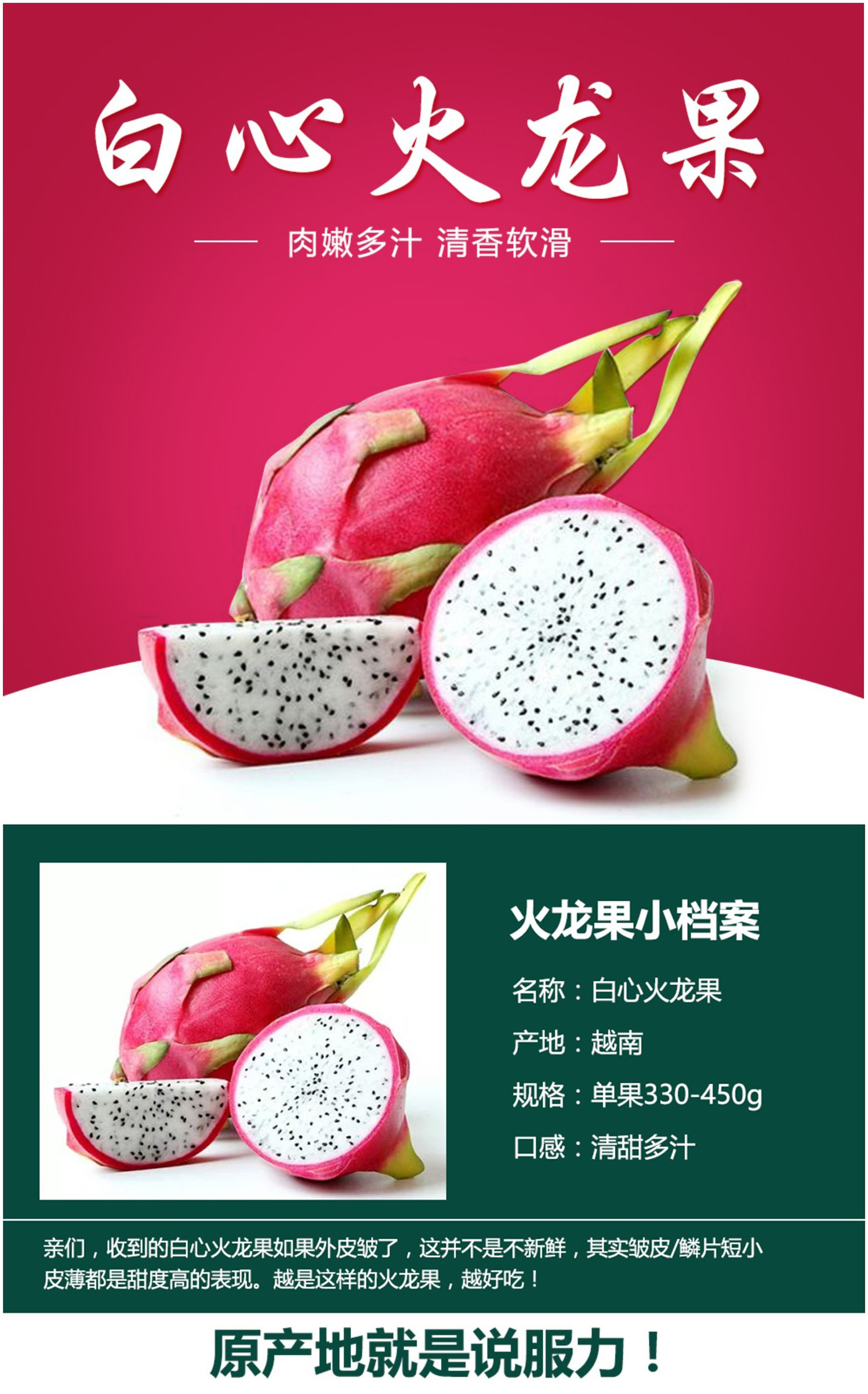 越南白肉火龙果整箱约37斤约32个